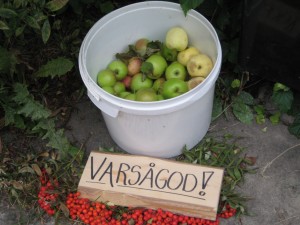 This is my favourite fruit stand so far â€“ this sign means â€˜youâ€™re welcome!â€™ so these are free apples from our new neighbours.  We have been enjoying them!  It is definitely apple season here, all the lawns are covered in them. 