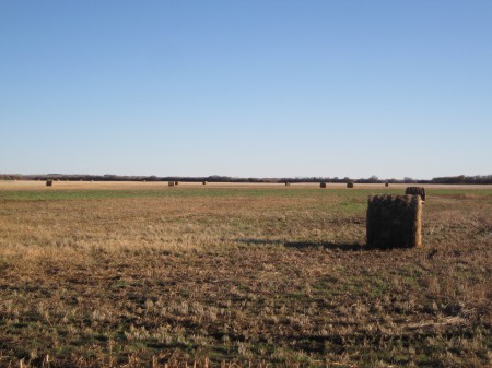 A field of hay balls at harvest time