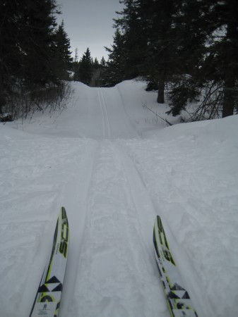 The trails at Eb's