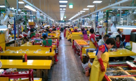 Jagalchi fish market in Busan.  Whoa!