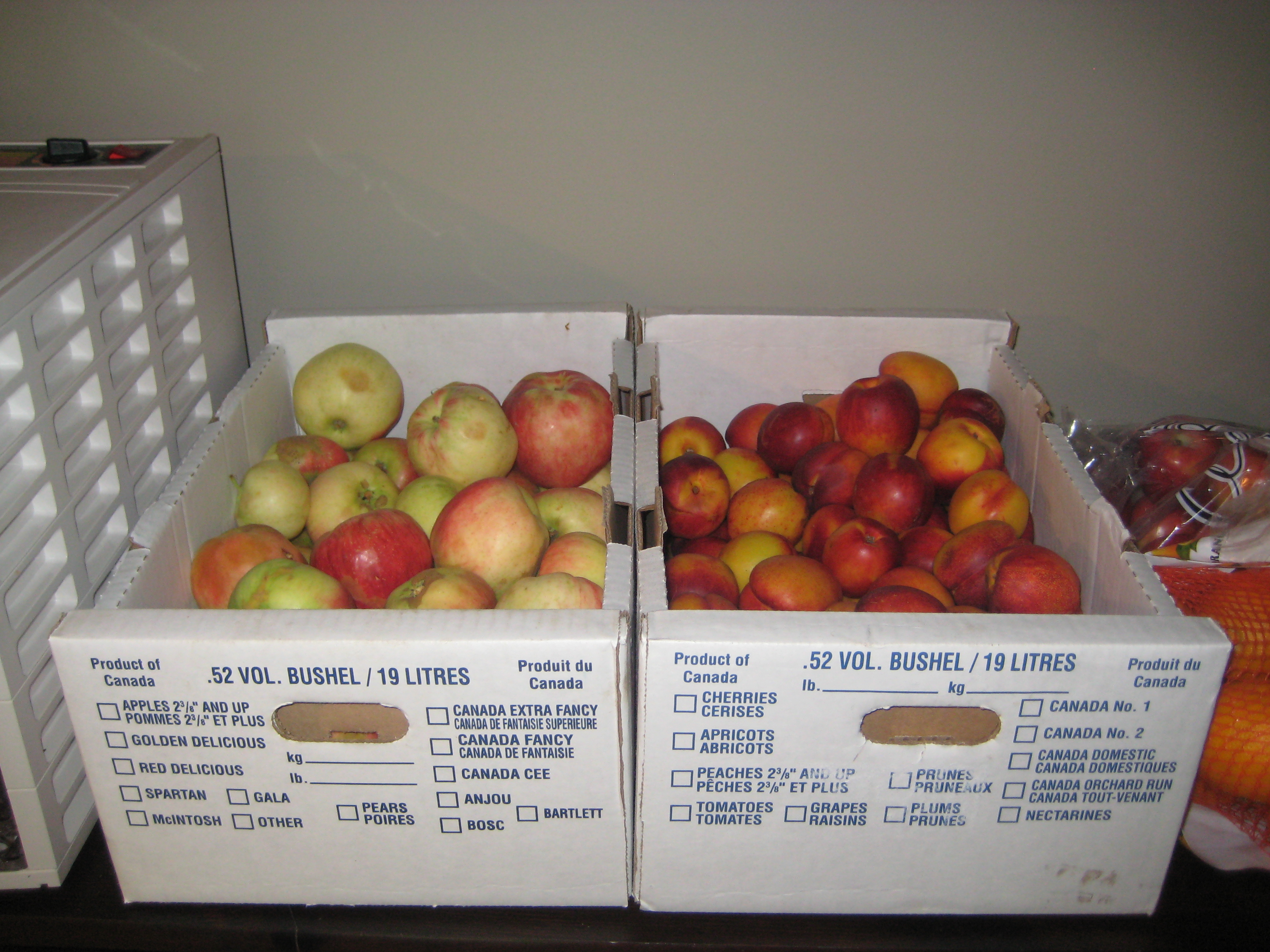 Giant fruit boxes - about 30lbs worth.