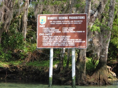 Manatee Rules: Do not ride.  :( 