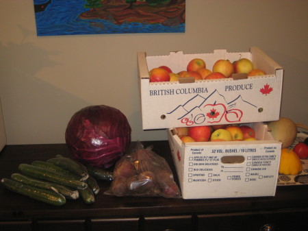 Ingredients: massive red cabbage for $3, 40lbs of apples for $30, beets, cukes, sweet potatoes, squash