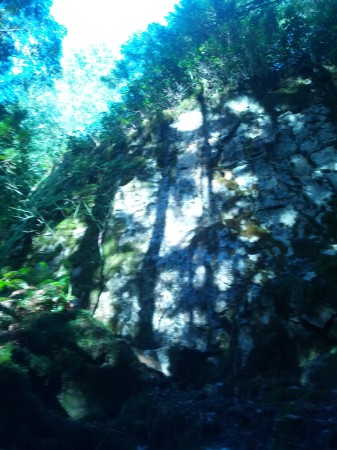 Giant stones, giant trees, giant moss in Mnekahda