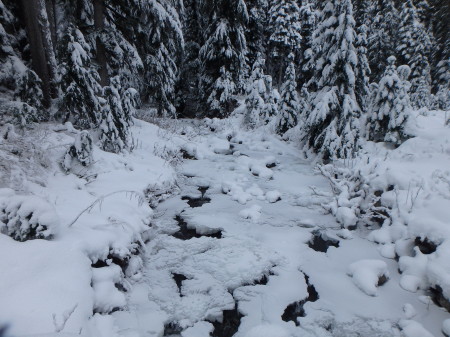 Frozen stream in Callaghan - luckily the hot tubs (and even cool tubs) were much warmer than this. :S