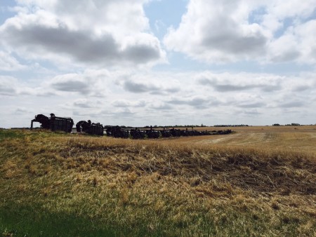 A line of a dozen-odd harvesting machines - maybe 70 years old or more?  This farm clearly had the best collection in teh neighbourhood, enough that they seem to be forming their own themed windbreak.
