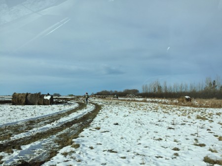 The last visit was 3 degrees with snow on the ground. There I am filming in the cow field.