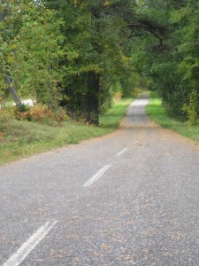 Dedicated bike path