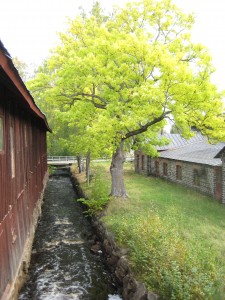 The pond drains into this little creek that at one point was used for a mill of some sort.