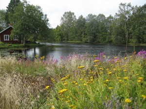 Small pond and one of the outbuildings.