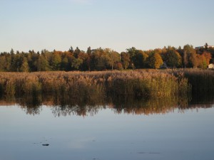 The water looked perfect for a leisurely canoe paddle.