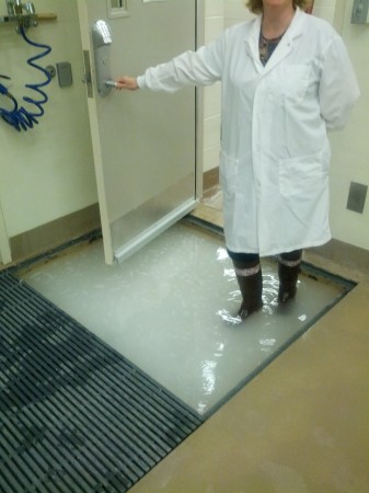 The boot wash station to avoid contaminating the outside world with the gross stuff on the floor in the lab.