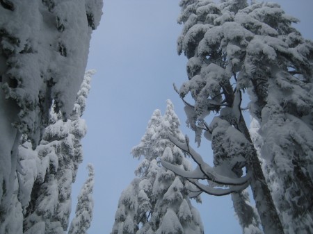 Arrived to unusual snow in Vancouver which melted in a few days, but LOTS was left in the mountains.  :)