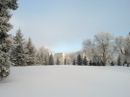 City hospital through the trees.