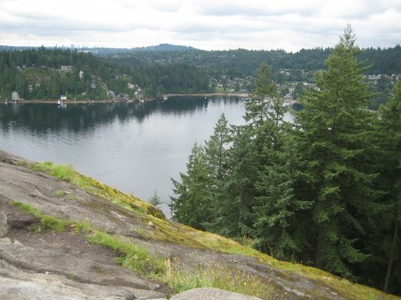 Deep Cove from above