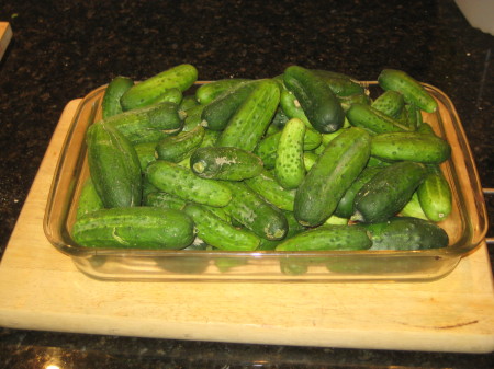 Cucumber pile!