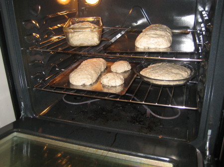 We don't make bread very often, which might be why we only have one bread pan