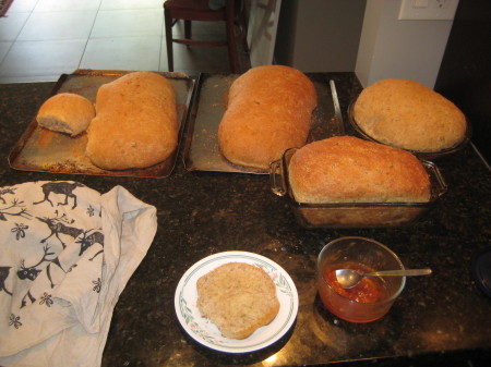 Fresh bread with nectarine jam! 