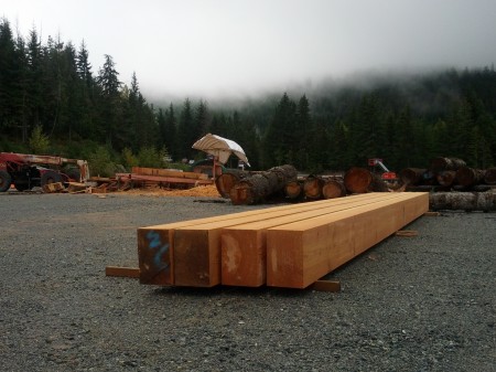 Milling edge-cleared trees in the parking lot