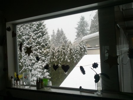 My first morning in BC - waking up to major snowfall in Mission! 