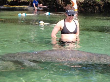 Me swimming with the manatees!