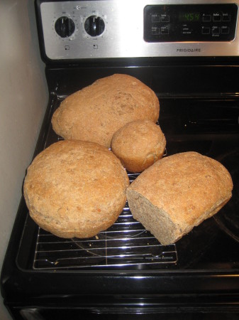 Mom's awesome slow-bread.  2 days in the making, freezes for weeks!