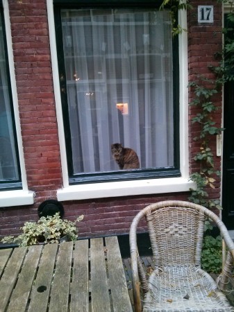 There were a lot of kitties looking through the windows.  There are a lot of giant picture windows in the Netherlands with limited curtains, so we tried not to be kitty-creepers. 