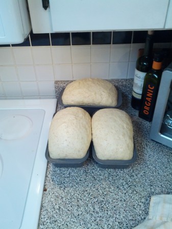 Cinnamon pear bread rising