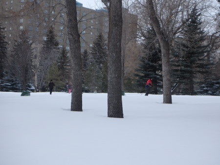 The ski trails were somewhat groomed, so lots of folks out! 