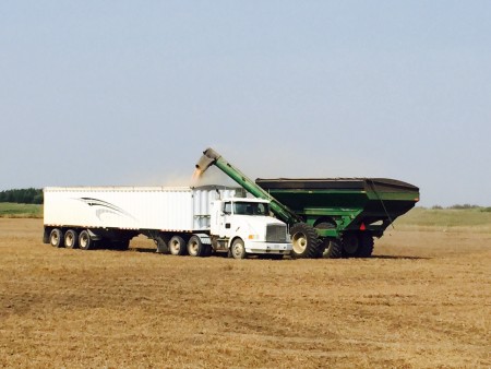 Emptying the combine