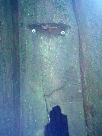 What?  A forest stump googley eye renovation