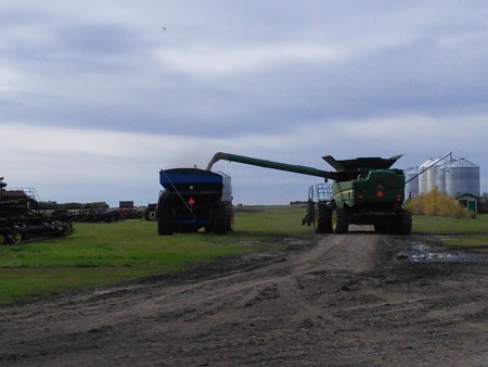 Combine emptying into a grain truck