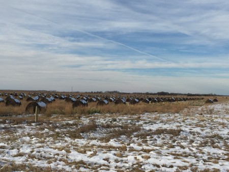 Your mini-wheats are ready!  Love, Saskatchewan