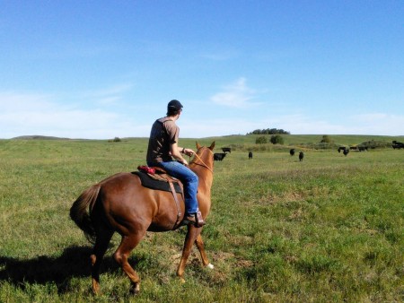 Photos taken during last summers farm visits. 