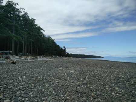 Kitty Coleman Beach in 'greater Courtney'